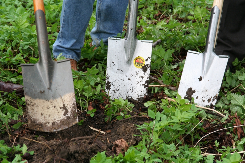 pepiniere-CASTELLAR-min_work-lawn-flower-tool-green-backyard-1103633-pxhere.com